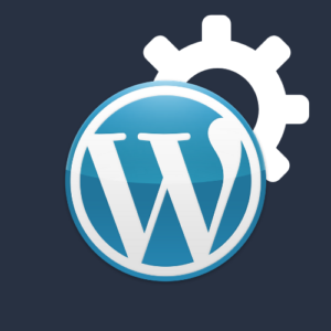 WordPress CMS installation service