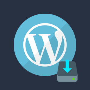 WordPress theme update service